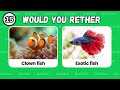 Would You Rather...? Animals Edition 🐶😺 Quiz Mari.