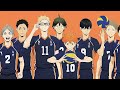 Haikyuu!! All Characters Japanese Dub Voice Actors Seiyuu Same Anime Characters