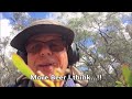 Gold reef patch still giving gold in Victoria. Stuart Mill episode 5 GPX 6000 21/3/2022