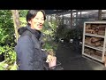 毎月の園芸情報の撮影実は・・・【カーメン君】【園芸】【ガーデニング】