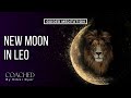 New Moon In Leo August 2024 | GUIDED MEDITATION 🌙