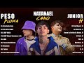 Peso Pluma X Natanael Cano X Junior H | Corridos Tumbados 2024 | Grandes éxitos Mix 2024