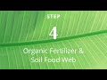 How To INCREASE Soil Acidity Naturally (4 Simple Steps!)