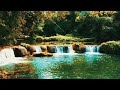 Успокаивающие Пение Птиц и Звуки Реки с Водопадом  Щебетание Птиц ✦ Relax ✦ Sounds Of The Forest