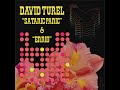 David Turel - 