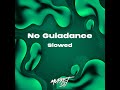 No Guiadance - Slowed (Remix)