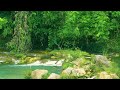 Relaxing Music & Nature Sounds: Stress Relief and Anxiety, Healing Music for Deep Sleep
