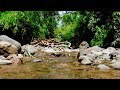 Relaxing Calm River Water Sounds