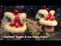新加坡騰鋒藝術體育會 Teng Feng Lion Dance Cai Qing Performance at Chi Hock Keng Temple 28 Dec 2021