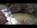 Ouachita National Forest after rain