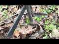 DIY How to Make a Homemade Bush Puller!