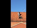 Cat stuck on roof!