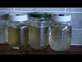 Light Malt Extract (LME) Liquid Culture Recipe.