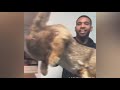 CATS JOKES 2018動物との最高のジョーク