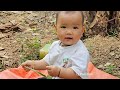 Single mother: harvests bananas to sell - Grandfather makes bamboo vegetable trellis. Ly Phuc Binh