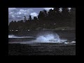 Lake Washington Slu Waterski Races 1950's