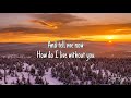How Do I live - LeAnn Rimes (Lyrics)