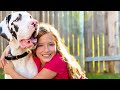 Top 20 Best Dog Breeds for Your First Dog | Best Dog Breeds 2024