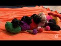The Cutest Puppy Moments | Too Cute! | Animal Planet