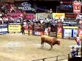 Rodeo at MSG