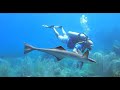 EXPLORE THE CORAL REEFS OF ST LUCIA, CARIBBEAN  90 MINUTE 4K UNDERWATER RELAXATION VIDEO mp4 2ND EDI