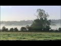 Stoat kills rabbit ten times its size - Life | BBC