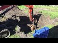 Septic system 10