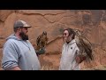 Falconry: New perspective on socializing raptors