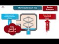 How Steam Traps Work