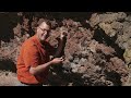 Giant Lava Flows | Nick on the Rocks