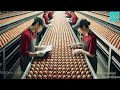 Amazing Secrets of How Americans Produce 97.3 Billion Eggs Annually - Chicken Farming Documentary