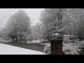 Snow-Mayodan NC Feb. 20th 2020