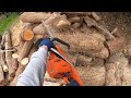 husqvarna 385xp cutting firewood