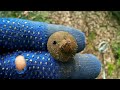 The Woods Have Eyes - Metal Detecting With Scary Noises And Great Finds!