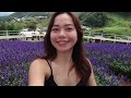 Chiang Mai Thailand ULTIMATE Guide 2024 | Where to Stay, Best Time to Visit, Things To Do