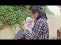 Full video of the life of a single mother who cannot give birth to a son, Ly Vy Ca