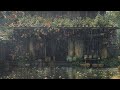 Piano Raindrops| Calming Sounds to Unwind and Sleep Peacefully