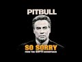 Pitbull - So Sorry (From the 