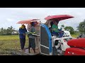 HOW TO HARVEST RICE IN DEEP MUDDY FIELD | KUBOTA HARVESTER DC-70 PRO @agtmjmaritestv9919