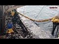 Amazing commercial fishing on the sea, Net Fishing Tuna, Catch Hundreds Tons Tuna on Boat!!