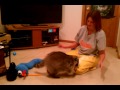 Clyde the raccoon playing with my wife. pet raccoon