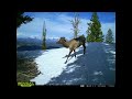 High Country Winter Time-Lapse | Cellular Trail Camera Videos