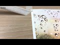 Morning Rain Drops in Watercolor Painting