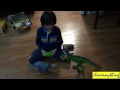 Dinosaur Toys: R/C T-Rex VS Triceratops Dinosaurs Unboxing & Playtime 2 of 2
