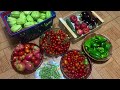 Todays Harvest .These beauties from my Kitchen Garden 🍅🍆🫑🥒🫛5th harvest of the season