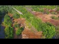 Coaldale Road Northside, Moshannon Creek/Solar Field Seeps