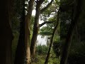 Tuesday morning pond life