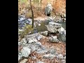 Waterfalls and walking on rocky water in Arkansas // black family nomadic travelling
