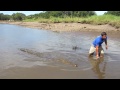 Feeding a Crocodile on the Tarcoles River in Costa Rica.