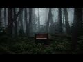 Piano in the forest